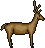 36fb2c9f8ddca8acac7e3087df23b8a4_1519022805_95.gif 36fb2c9f8ddca8acac7e3087df23b8a4_1519022805_95.gif
