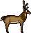 36fb2c9f8ddca8acac7e3087df23b8a4_1519022807_15.gif 36fb2c9f8ddca8acac7e3087df23b8a4_1519022807_15.gif